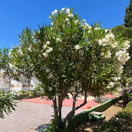 Sunbeach Solymar Bloque 84 Costa Apartment