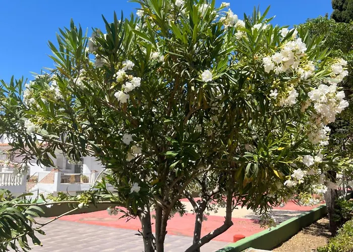 Berolina Sunbeach Costa Apartamento